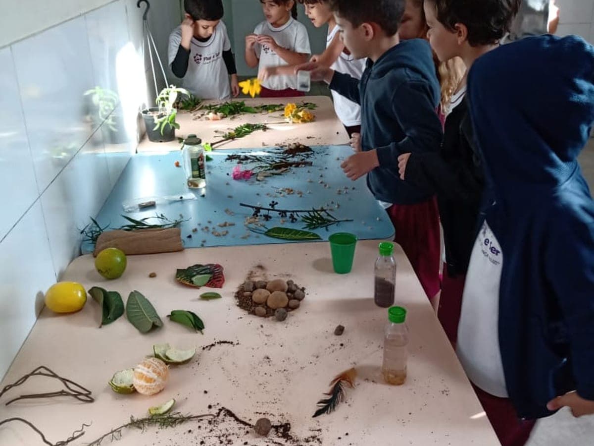 Alunos em volta de uma mesa com folhas, sementes e terra em um experimento