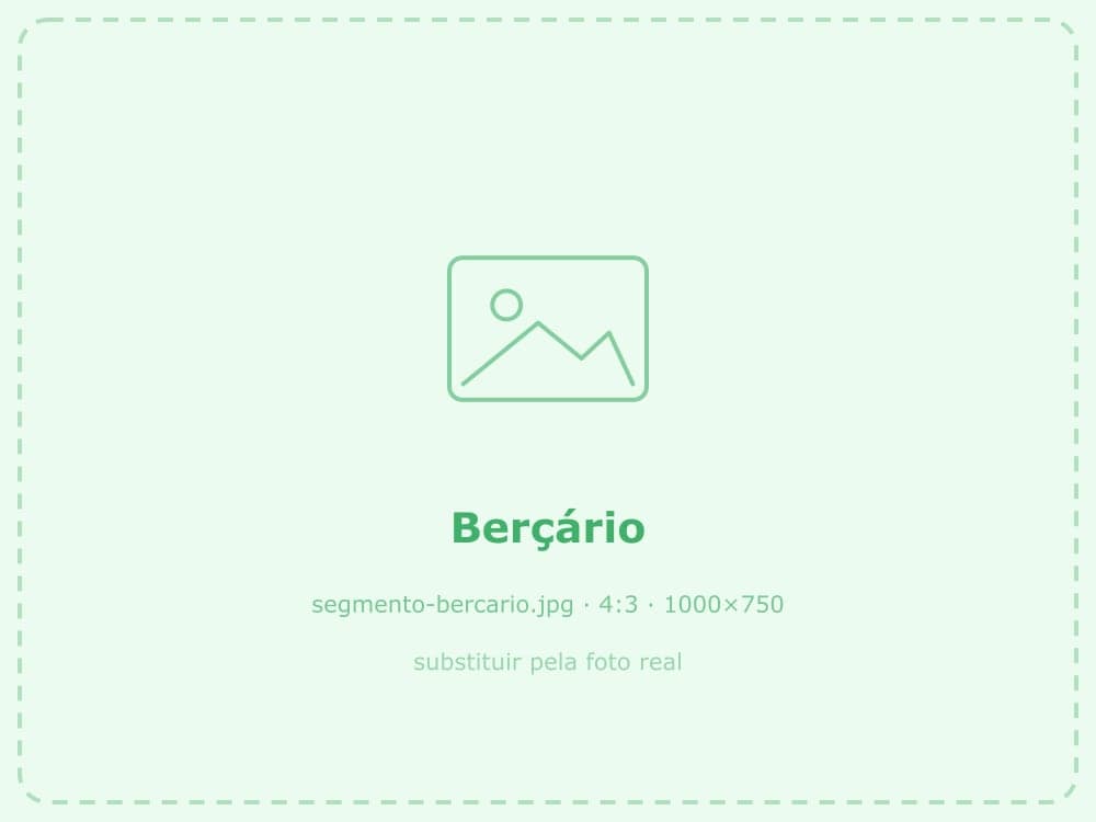 Turma de Berçário da Escola Flor e Ser